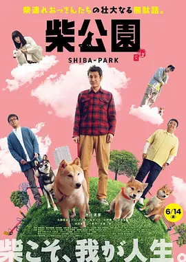 姜十七电视剧短剧免费全集观看